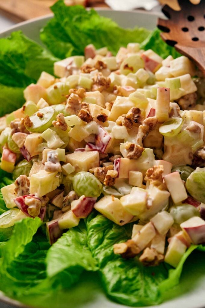 A salad featuring chopped apple, celery, walnuts, and grapes on a bed of lettuce, dressed with a creamy sauce.