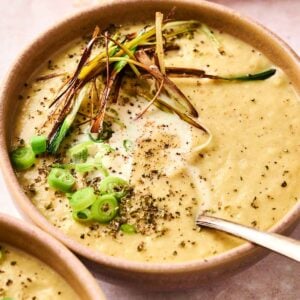 Bowl of creamy leek and potato soup topped with sliced green onions, herbs, and crispy julienned vegetables. A spoon rests in the bowl.