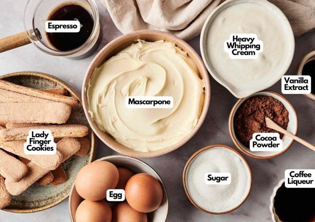 Top-down view of classic tiramisu ingredients, including espresso, lady finger cookies, eggs, mascarpone, heavy whipping cream, sugar, coffee liqueur, cocoa powder, and vanilla extract arranged in bowls.