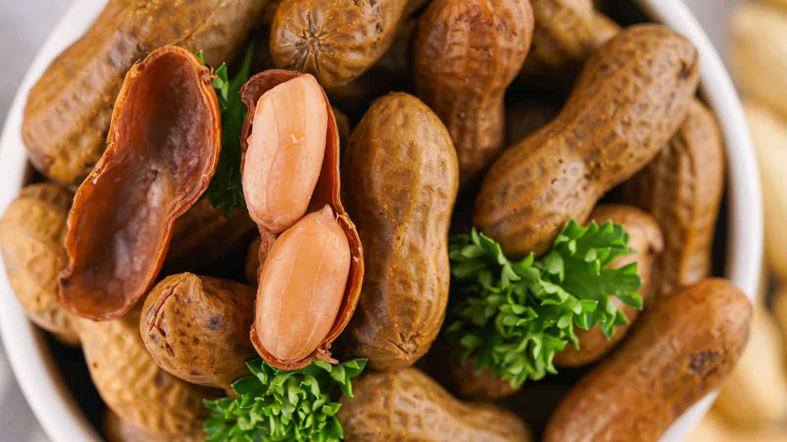 A bowl filled with boiled peanuts, garnished with parsley. One peanut is opened showing the seeds inside.