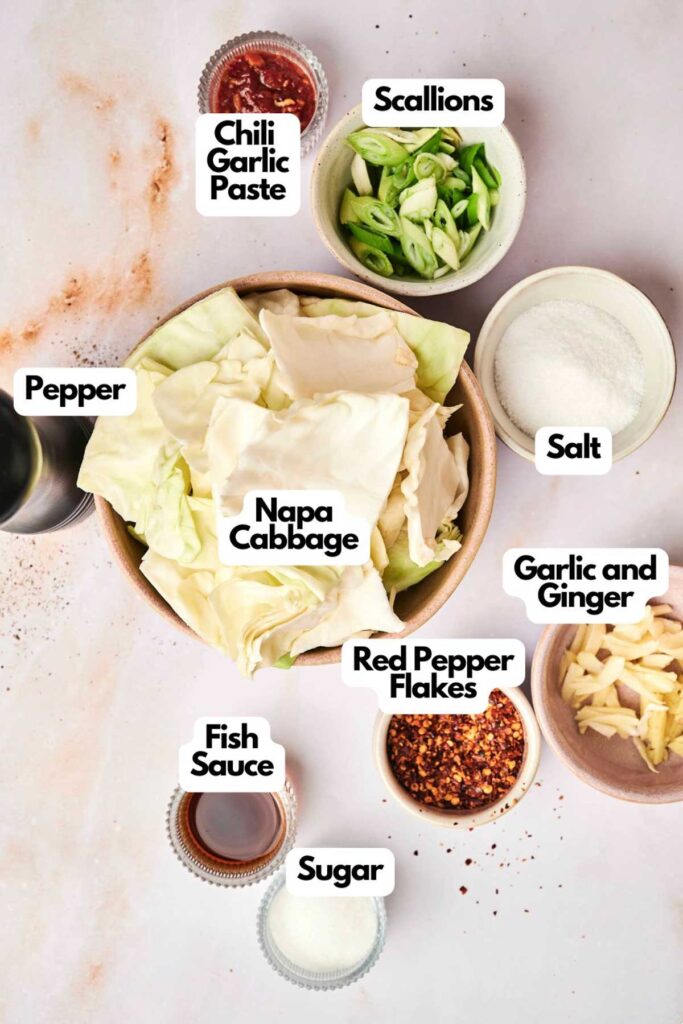 Overhead view of ingredients for Kimchi in bowls and containers labeled: chili garlic paste, scallions, salt, sugar, fish sauce, pepper, napa cabbage, red pepper flakes, garlic and ginger.