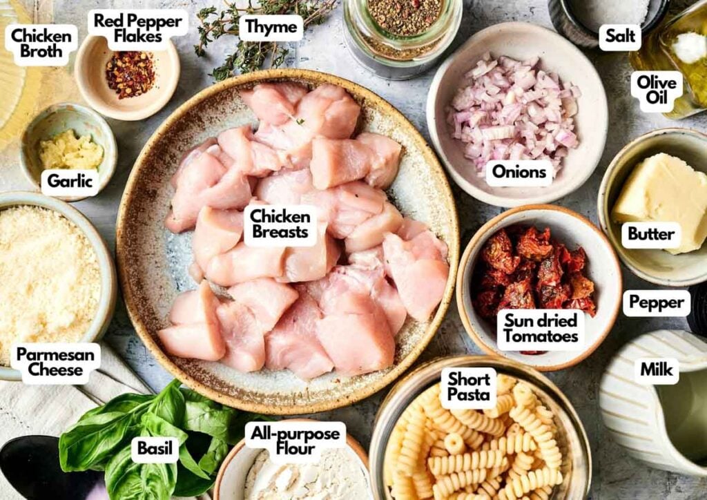 A variety of labeled ingredients for a Marry Me Chicken Casserole, including chicken breasts, pasta, parmesan cheese, butter, onions, sun-dried tomatoes, garlic, milk, broth, and seasonings.