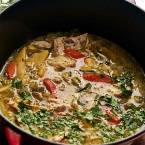 A pot of hearty chicken soup with vegetables and fresh herbs, simmering gently in a vibrant red Dutch oven.