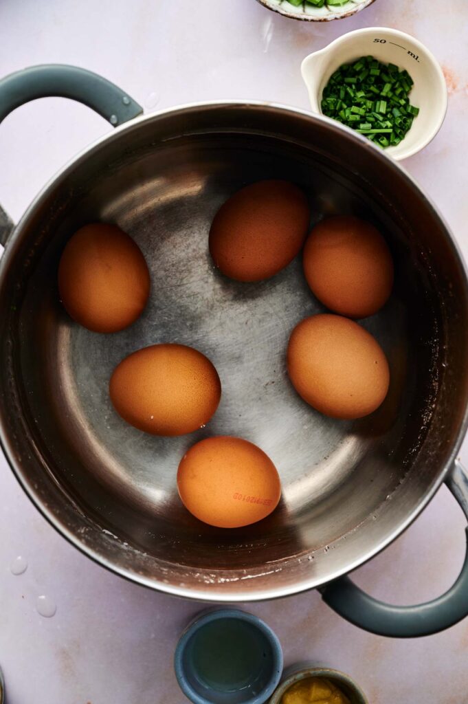 Six brown eggs in a stainless steel pot with a small amount of water, ready to be boiled for a delicious egg salad. Chopped green onions and other fresh ingredients are arranged in small bowls nearby.