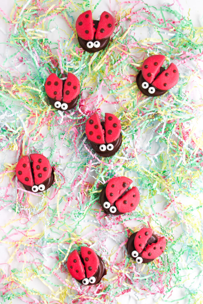 Several red and black Ladybug Chocolate Covered Oreos with candy eyes are arranged on colorful shredded paper.