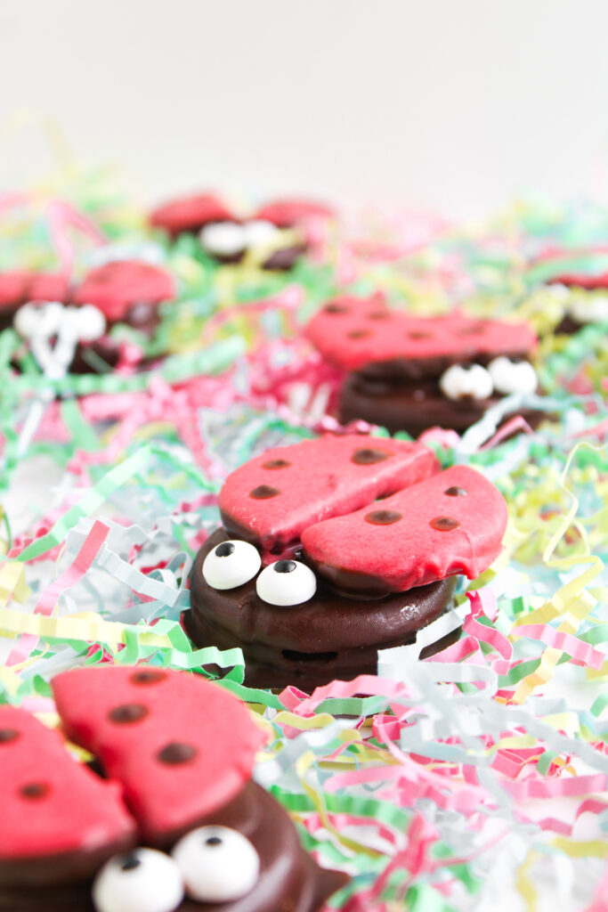 Ladybug Chocolate Covered Oreos with red wings and candy eyes are arranged on a bed of colorful shredded paper.