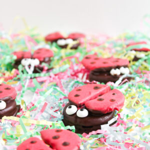 Red and brown Ladybug Chocolate Covered Oreos with candy eyes are placed on colorful shredded paper.