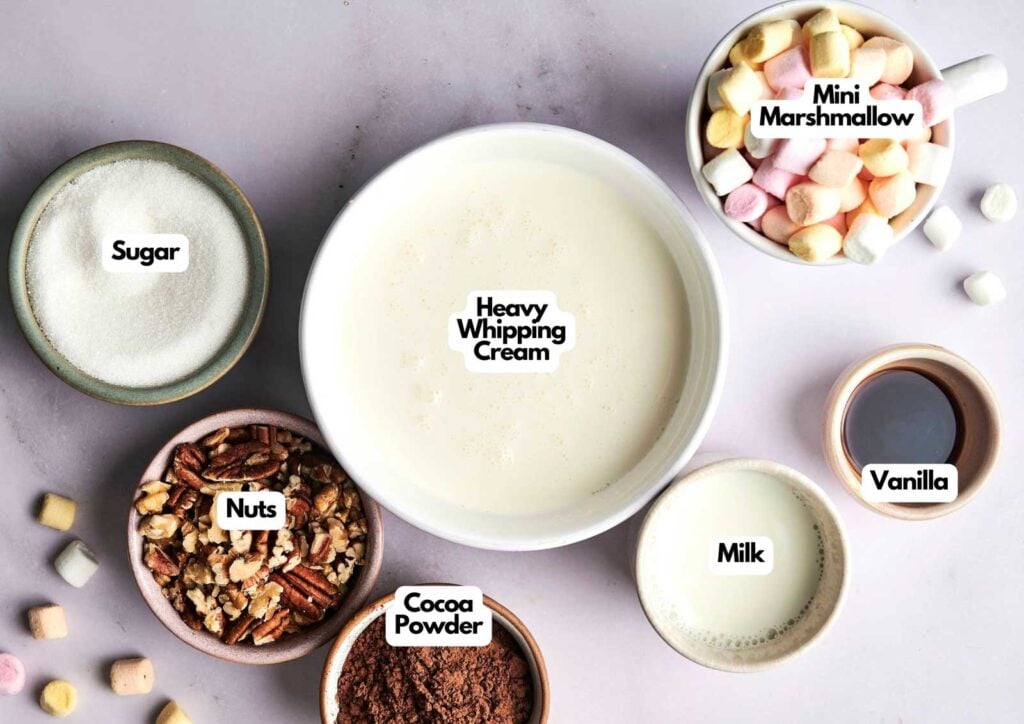 Bowls of heavy whipping cream, mini marshmallows, sugar, nuts, cocoa powder, milk, and vanilla arranged on a light surface&mdash;everything you need to make homemade rocky road ice cream.