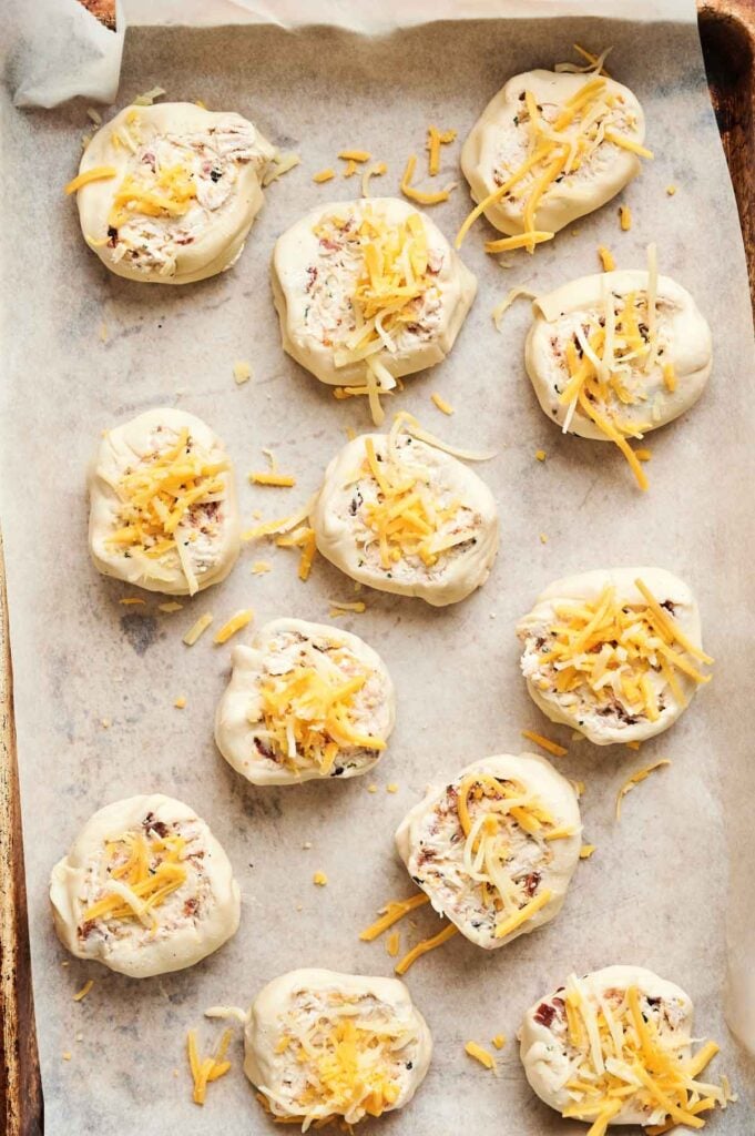 Chicken Pinwheels filled with a creamy mixture and topped with shredded cheddar cheese are arranged unbaked on a parchment-lined baking sheet.