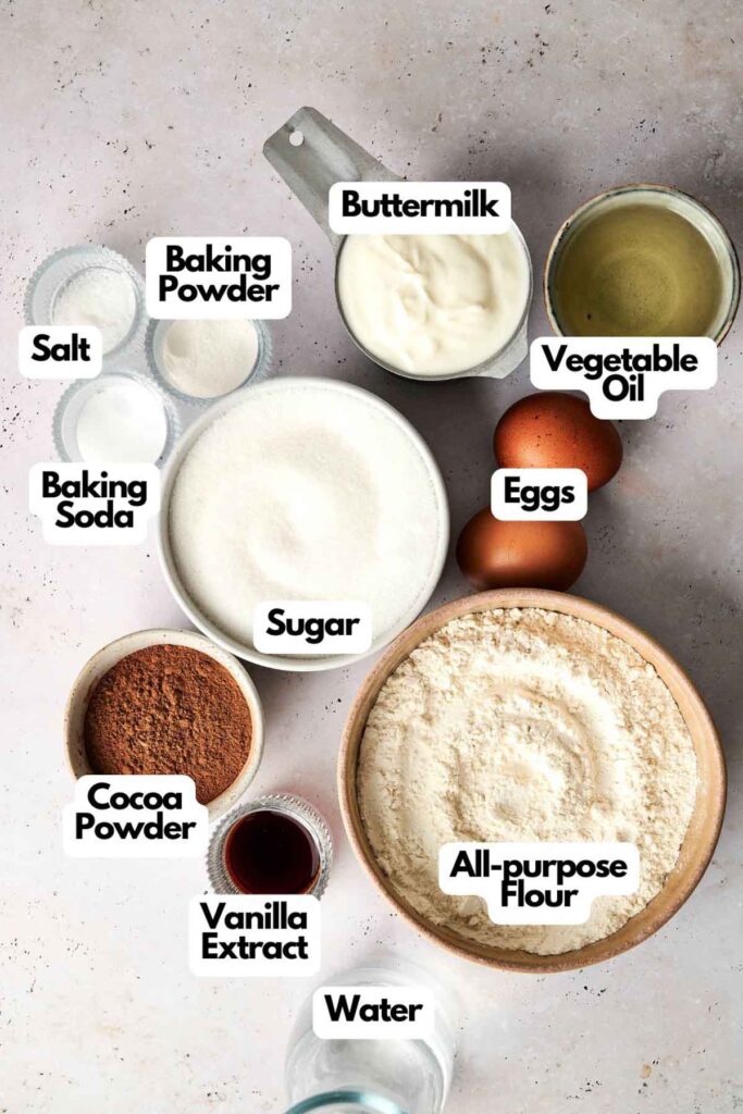 Ingredients for baking are laid out: all-purpose flour, cocoa powder, sugar, baking powder, baking soda, salt, vanilla extract, eggs, vegetable oil, buttermilk, and water.