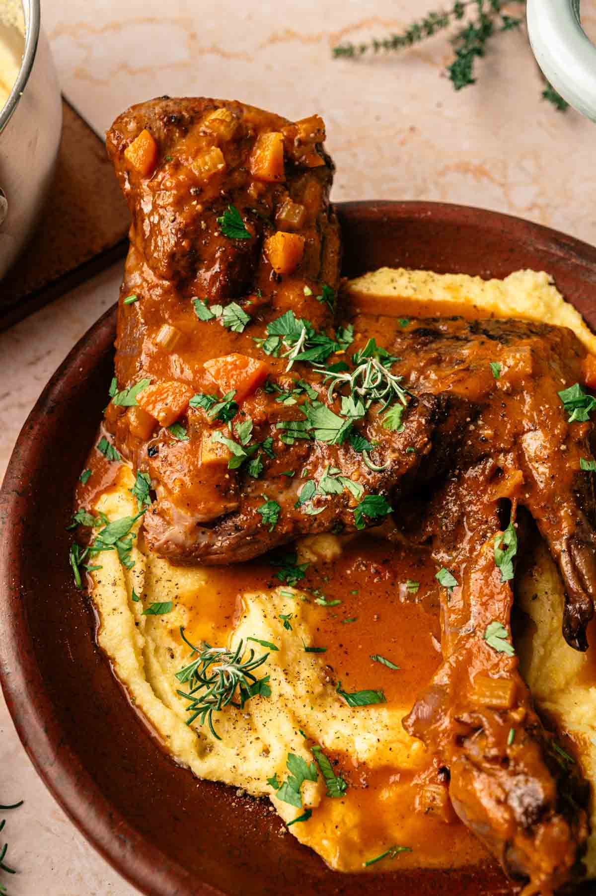 Braised rabbit leg in a rich vegetable sauce served over creamy mashed potatoes, reminiscent of a Mediterranean Lamb Shank with Polenta, garnished with fresh herbs on a brown plate.