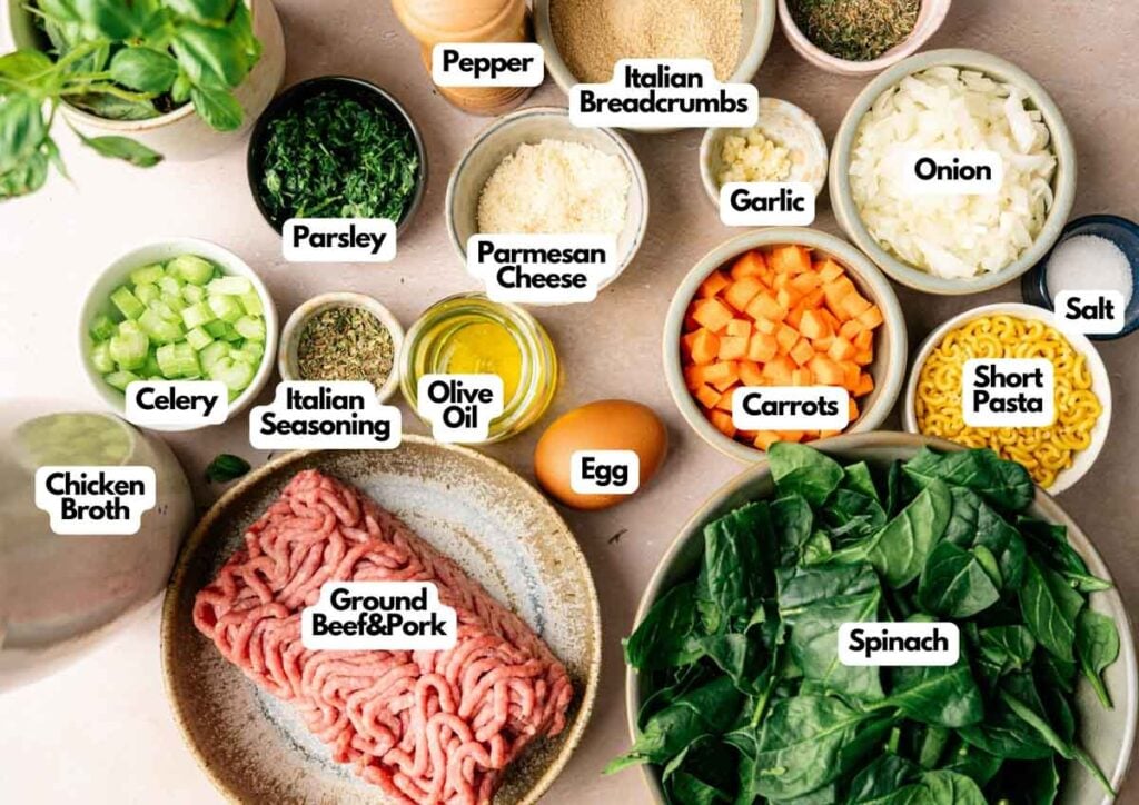 Various labeled ingredients for Italian Wedding Soup, including ground beef and pork, spinach, carrots, pasta, onion, celery, garlic, egg, olive oil, seasonings, breadcrumbs, parsley, and chicken broth.