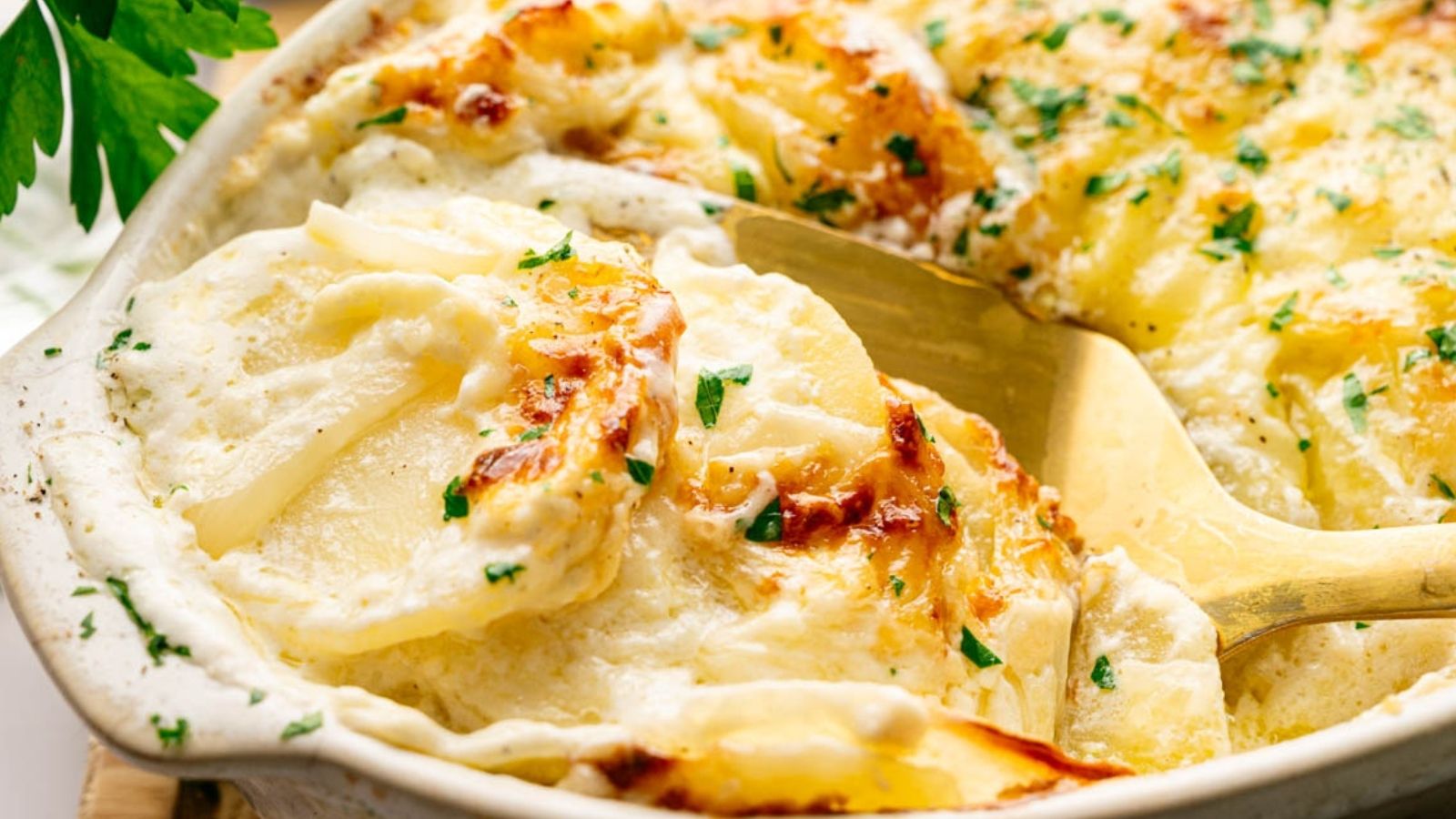A close-up of creamy, baked scalloped potatoes with melted cheese, garnished with chopped parsley, in a white baking dish with a serving spoon.
